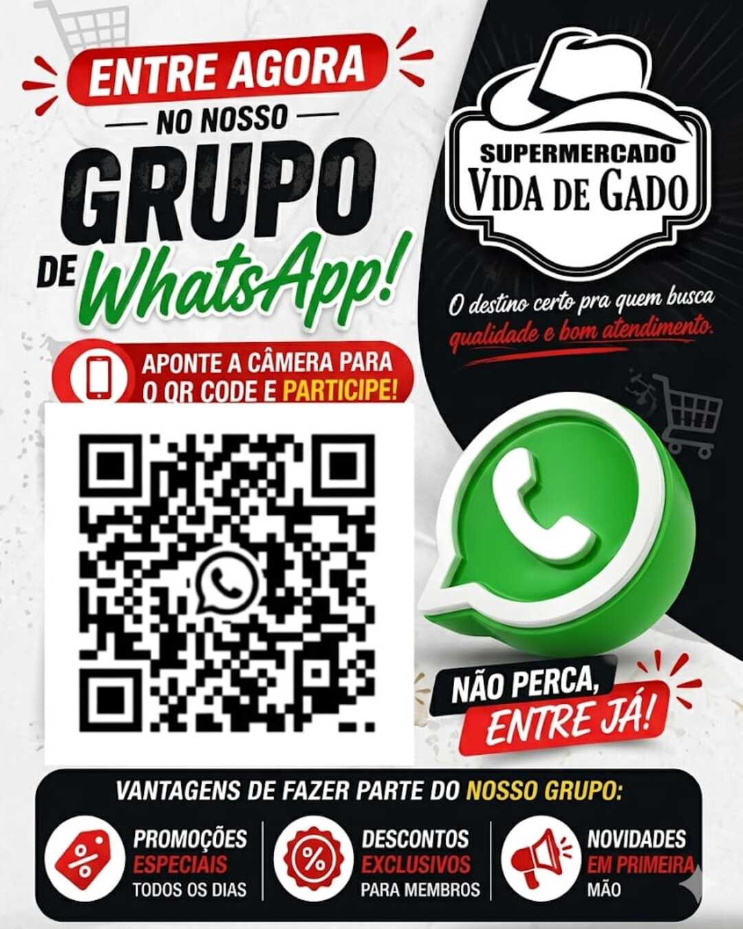 Super Mercado Vida De Gado 