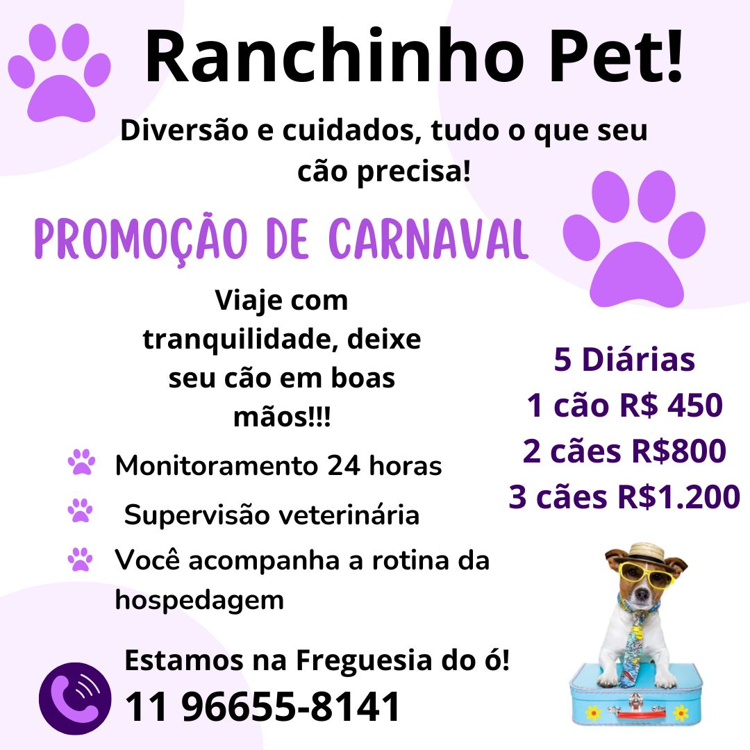 Ranchinho Pet ! TOP10
