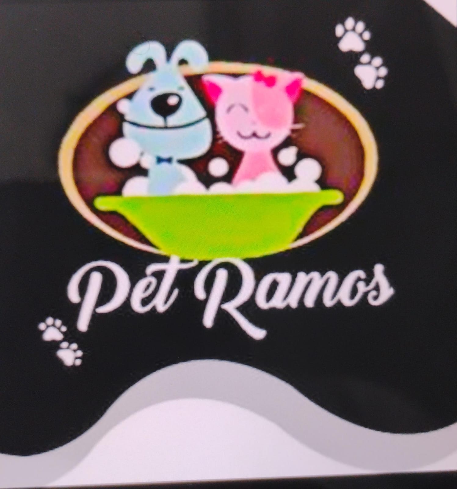 PET RAMOS TOP10