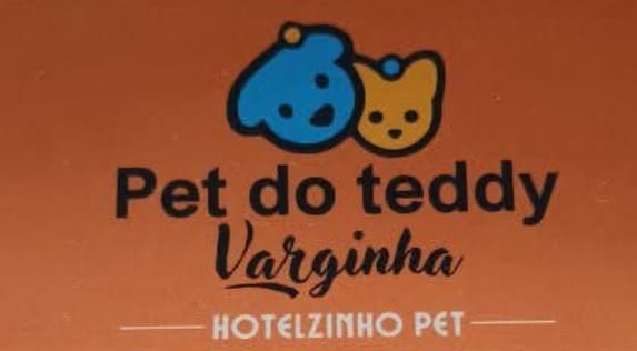 PET DO TEDDY