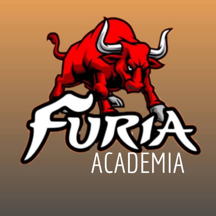 FURIA ACADEMIA