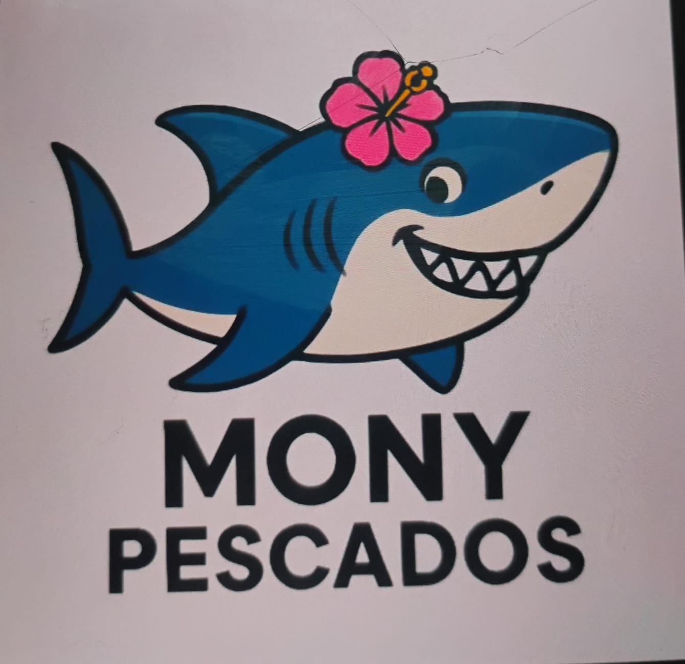PEIXARIA MONY