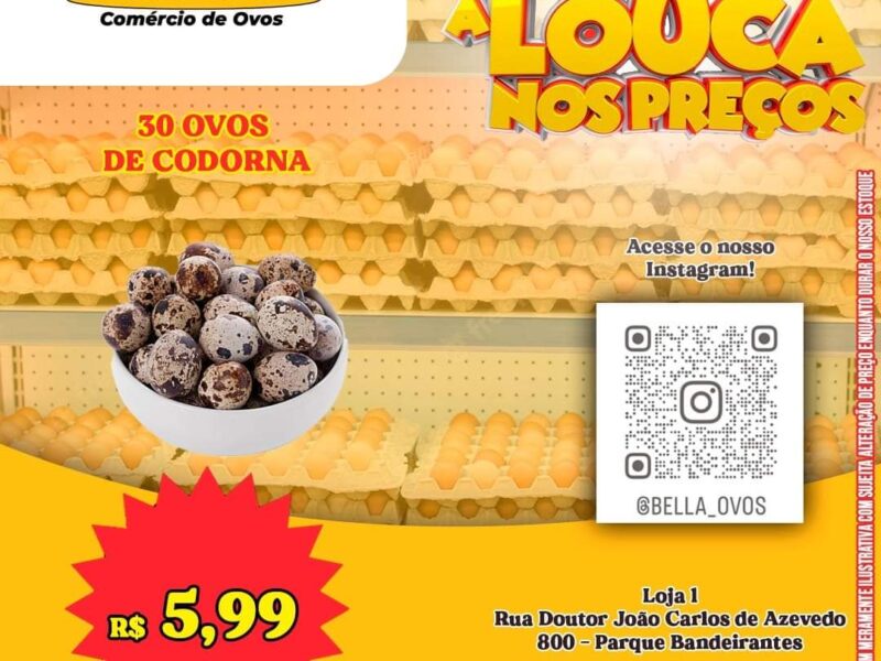 BELLA OVOS TOP10