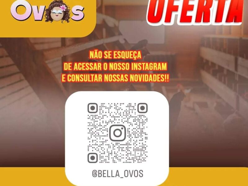 BELLA OVOS TOP10