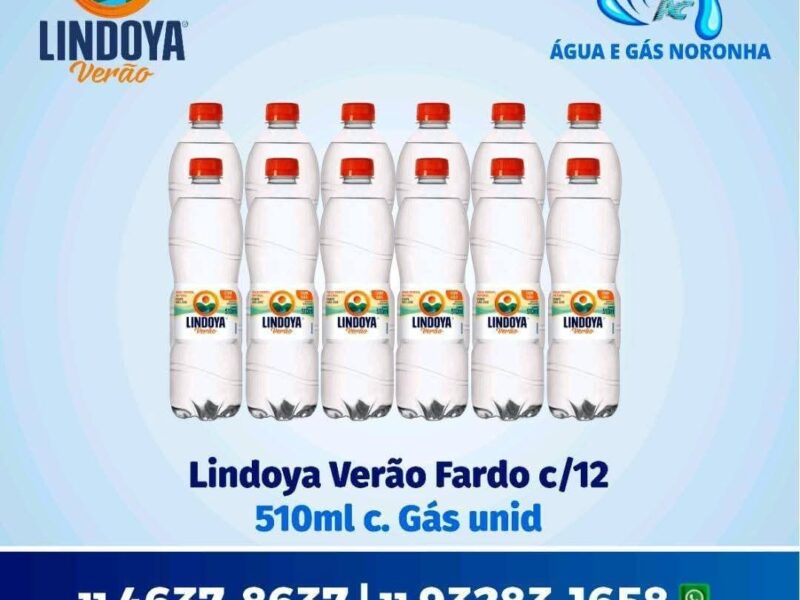 DISTRIBUIDORA DE ÁGUA & GÁS NORANHA TOP10