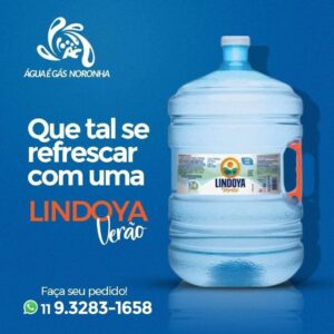 DISTRIBUIDORA DE ÁGUA & GÁS NORANHA TOP10
