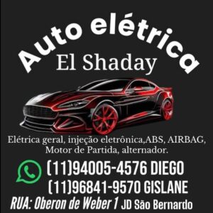 AUTO ELETRICA EI SHADAY TOP10