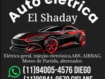 AUTO ELETRICA EI SHADAY TOP10