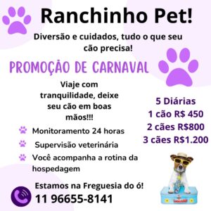 Ranchinho Pet ! TOP10