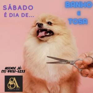 S.A. PET BOUTIQUE SPA
