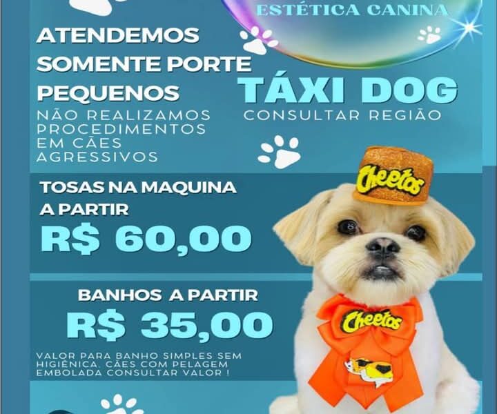 PET RAMOS TOP10