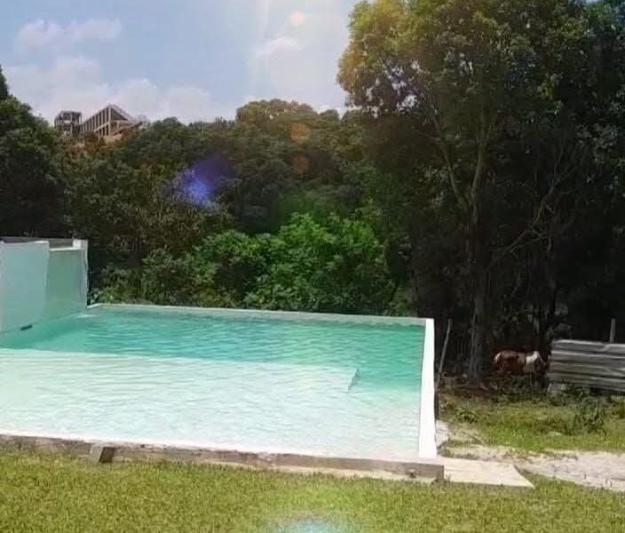 BOSQUE & PISCINA