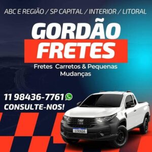 GOERDÃO FRETES