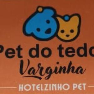 PET DO TEDDY
