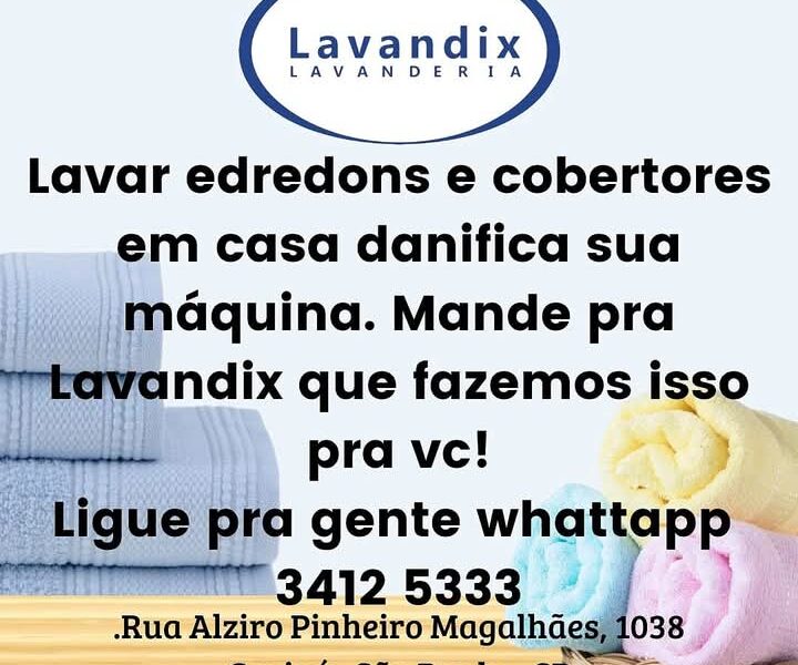 LAVANDIX