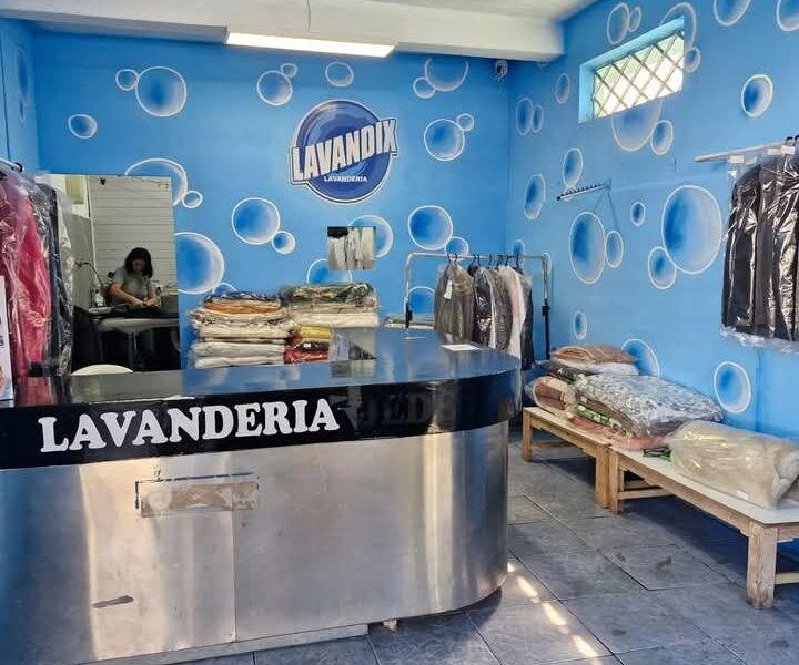 LAVANDIX