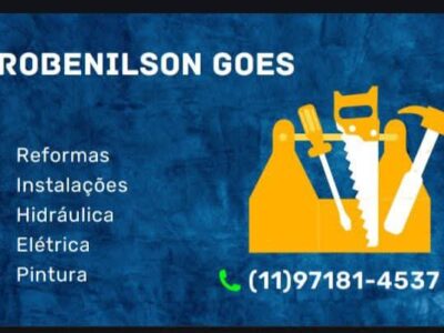 ROBENILSON GOES