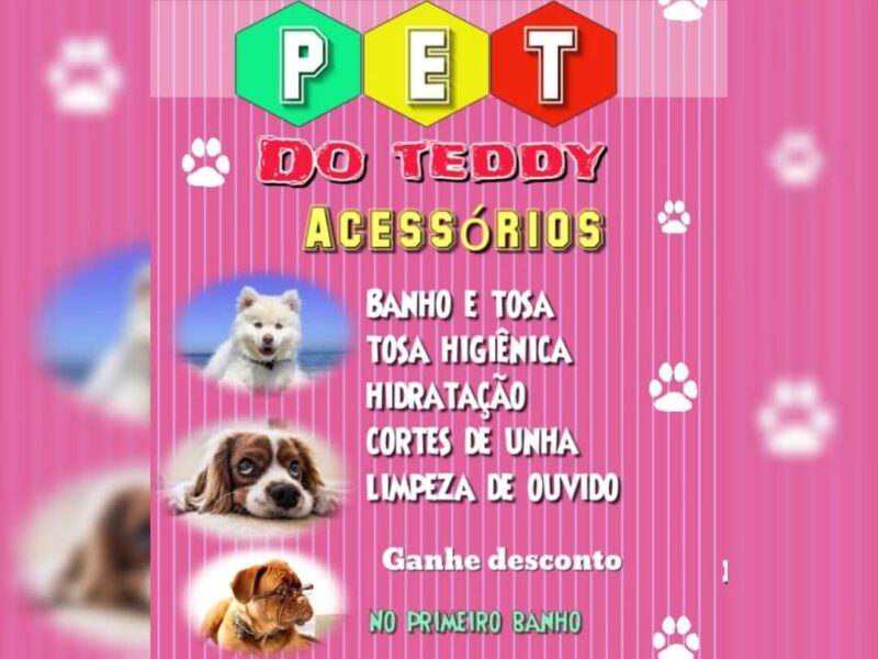 PET DO TEDDY