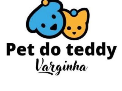 PET DO TEDDY