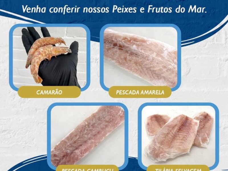 O Pescado Butique de Peixes