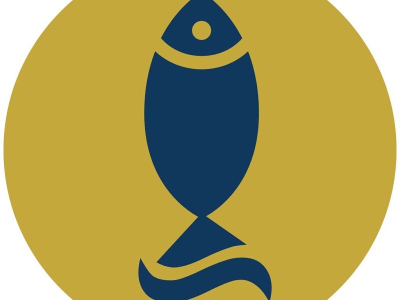 O Pescado Butique de Peixes