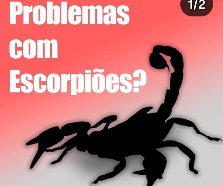 DEDETIZAÇÃO Dulbarmiga