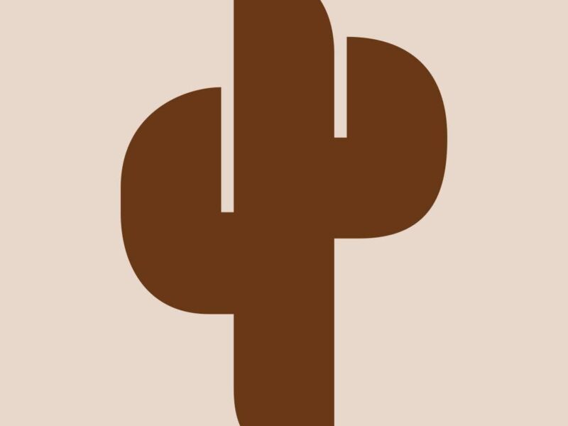 Mandacaru Cacha&ccedil;aria